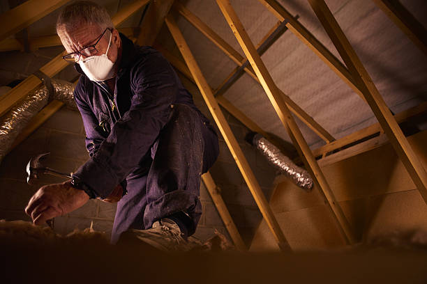 Best Wall Insulation Contractor  in Central Islip, NY